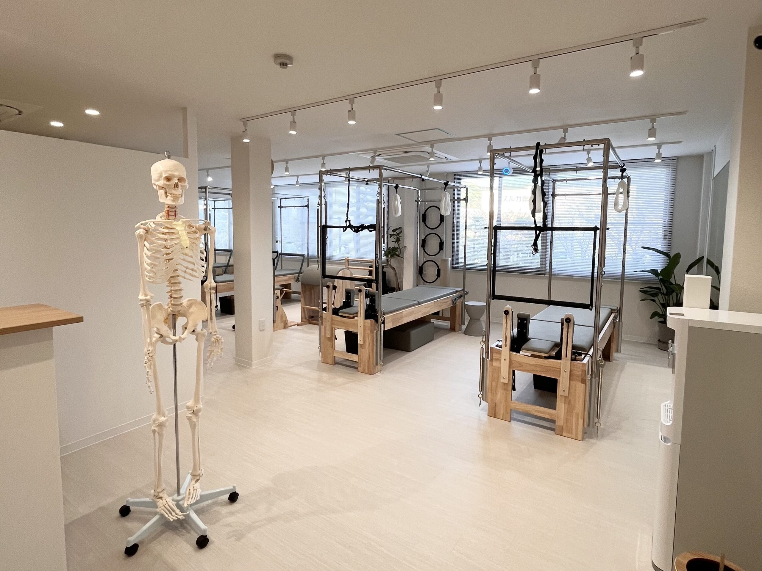 大きな窓と専用マシンが揃う清潔なLa pilates鎌倉店スタジオ
