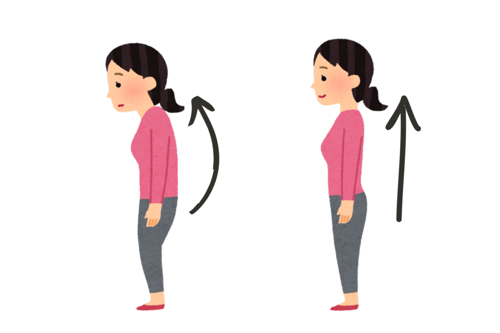 女性姿勢の変化