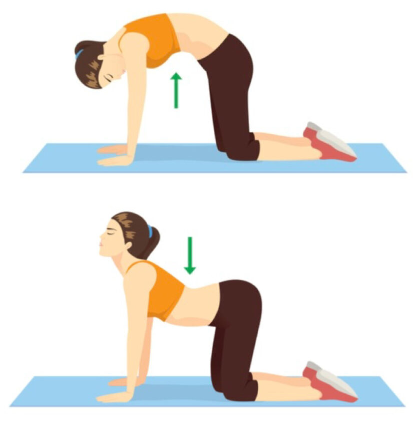 腰痛改善ピラティ-スキャットアンドカウ-