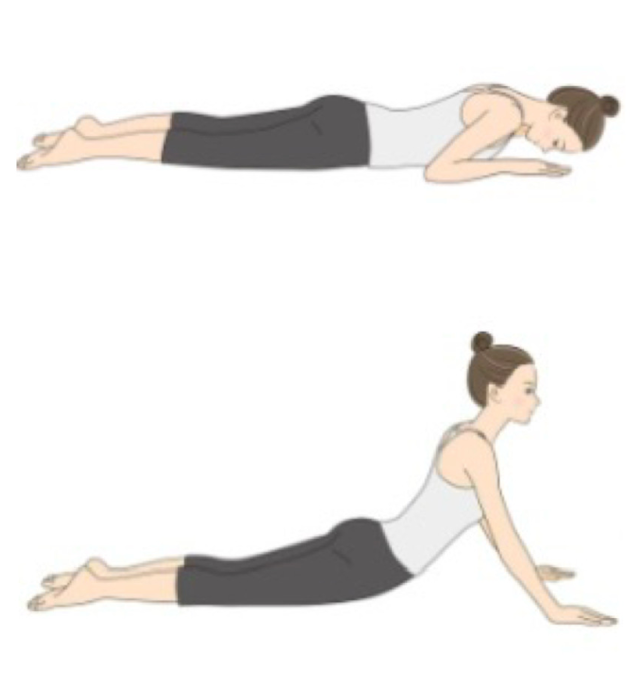 不調改善ピラティス-スワン-