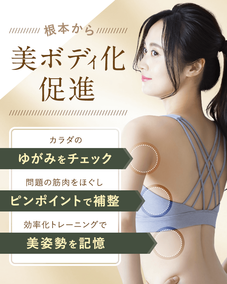 美ボディ化促進